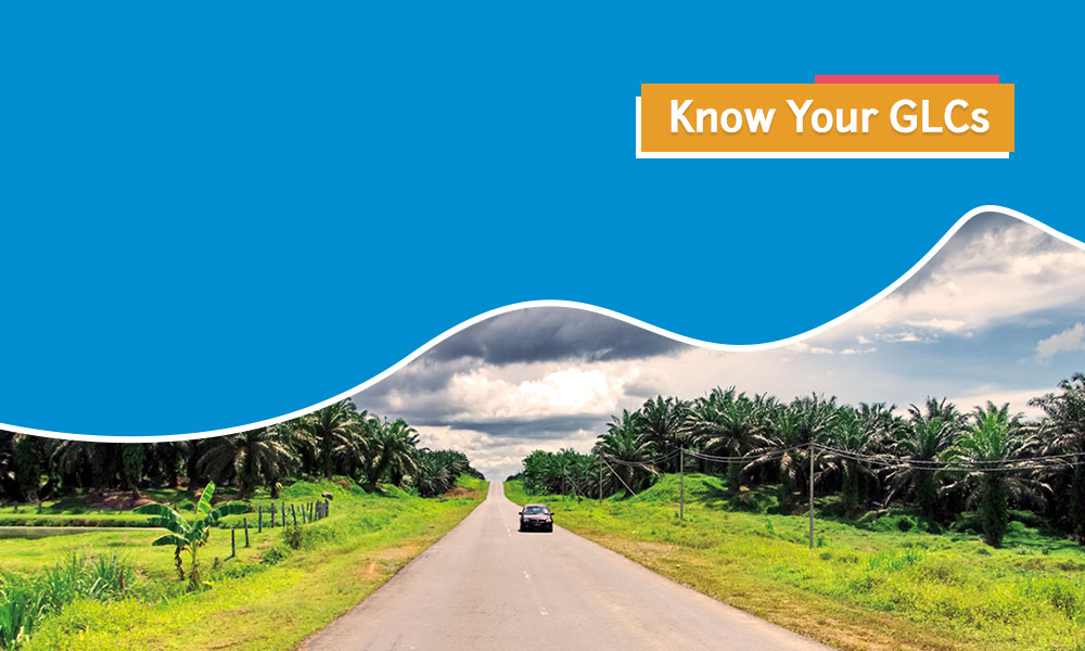 Changes that affects FELDA the sustainability of FELDA