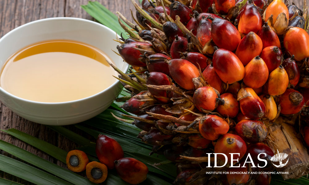 Navigating the Palm Oil Debate